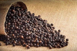 Vì sao đừng ăn tiêu khi đi ăn ngoài đường?