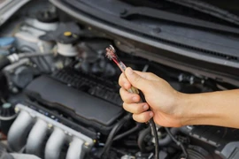 Mất hơn 100 triệu sửa xe vì chuột