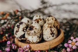 Ăn trứng cút mỗi ngày, chuyện gì xảy ra?