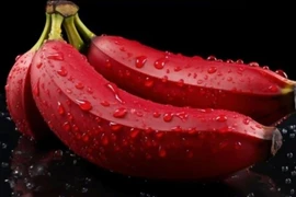 Ăn chuối đỏ mỗi ngày, chuyện gì xảy ra?