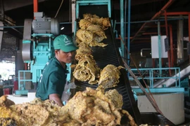 Trung Quốc nới lỏng chính sách tiền tệ, công ty Việt bị tác động ra sao?