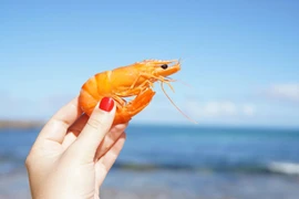 Điều gì đang xảy ra với 'vua tôm' Minh Phú?
