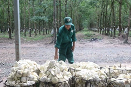 Ngành cao su có thể thắng lớn nhờ ô tô điện