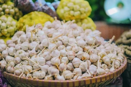 Khi nào nên tránh ăn tỏi?