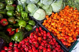 Vì sao ăn những thực phẩm rẻ tiền này lại giúp phổi khỏe?