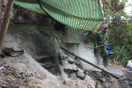 phá hủy lò than phá rừng