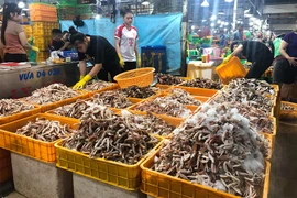 Chợ đầu mối có thể mở rộng thêm dịch vụ logistics, du lịch, cung cấp thông tin thị trường… Ảnh: TÚ UYÊN