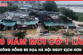 Cập nhật lũ sông Hồng: Đê tả sông Hồng báo động 3, nước lũ lênh láng