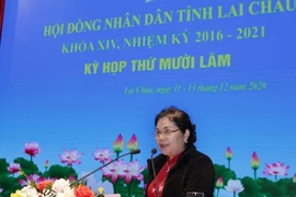 Trong tuần, nhiều tỉnh, thành phố bầu lãnh đạo HĐND và UBND