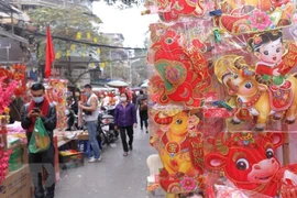 Người dân Hà Nội đi mua sắm Tết. Ảnh minh họa: TTXVN