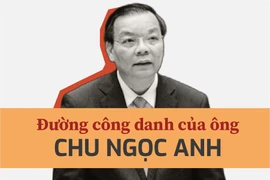Đường công danh của ông Chu Ngọc Anh