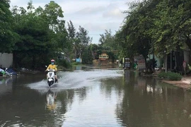 Cử tri Nhà Bè mong dự án chống ngập 10.000 tỉ sớm hoàn thành