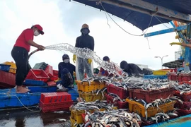 Thủ tướng phê bình nhiều địa phương có tàu cá vi phạm vùng biển nước ngoài
