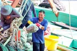 Bộ Quốc phòng trả lời việc kiểm soát, xử lý tàu cá vi phạm trên vùng biển Tây Nam