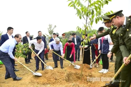 Chủ tịch nước: Trồng nhiều cây hơn nữa bằng tình yêu, lòng biết ơn và sự khiêm nhường