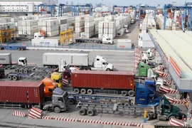 Hoạt động vận chuyển hàng hóa vào cảng Cát Lái, TP.HCM.