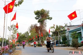 Bình Dương: Đường cờ Tổ Quốc rực rỡ tại Cù lao Rùa