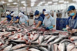 Việt Nam cần tranh thủ sự ủng hộ để sớm gỡ cảnh báo thẻ vàng IUU
