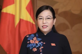 Bà Nguyễn Thanh Hải làm Trưởng Ban Công tác đại biểu