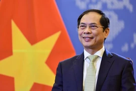Chân dung Phó Thủ tướng, Bộ trưởng Ngoại giao Bùi Thanh Sơn