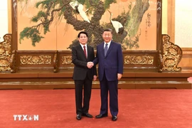 Thường trực Ban Bí thư Lương Cường hội kiến Tổng Bí thư, Chủ tịch nước Tập Cận Bình