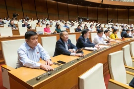 Các đại biểu biểu quyết thông qua các dự án một luật sửa nhiều luật.