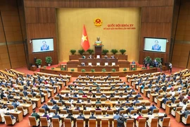 Quốc hội đúng vai, tròn vai 