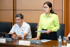 Đại biểu đề xuất tăng mức phạt vi phạm giao thông lên 200 triệu đồng