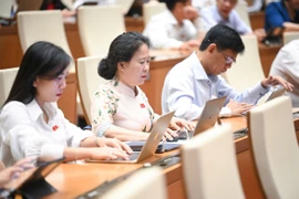 Nhắc đến Vân Đồn, TP.HCM, đại biểu đề xuất nghiên cứu Luật Khu thương mại tự do 