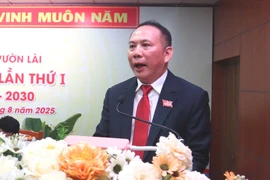 Ông Lâm Hùng Tấn làm Bí thư Đảng ủy phường Vườn Lài, TP.HCM