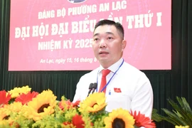 Ông Lê Trương Hải Hiếu làm Bí thư Đảng ủy phường An Lạc, TP.HCM