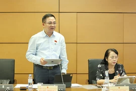 Đại biểu: Vì sao nhiều người dân vẫn bị lừa, bị 'bắt cóc online'?