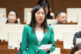 Tranh luận: Có nên trao quyền giám sát cho Tổ đại biểu HĐND