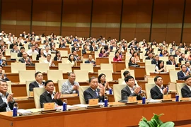 Ủy viên Trung ương Đảng làm trưởng đoàn ĐBQH không giữ quá 3 chức danh lãnh đạo