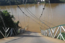 Sập cầu treo, 4 người rơi xuống sông Đồng Nai