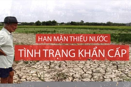 Mắt thấy tai nghe chuyện miền Tây 'khát' nước mùa hạn mặn