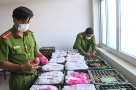 Video: Phát hiện 2,5 tấn hoa quả không rõ nguồn gốc xuất xứ