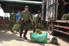 Những chuyến xe 0 đồng chở hàng trăm tấn rau củ đến bà con vùng dịch