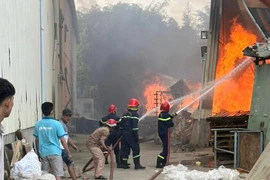 Video: Xưởng gỗ tại TP Thủ Đức bốc cháy dữ dội