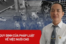 Làm thế nào để nuôi động vật không ảnh hưởng đến hàng xóm?