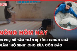 Nóng hôm nay: Khởi công và tái khởi động 2 cây cầu phía Nam TP.HCM