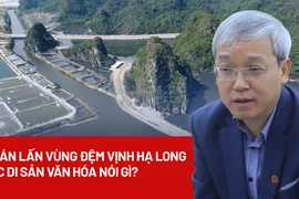 Dự án lấn vùng đệm vịnh Hạ Long: Cục Di sản văn hóa nói gì?