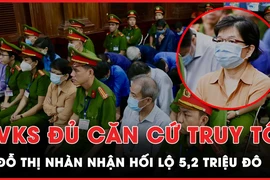 VKS đủ căn cứ truy tố bà Đỗ Thị Nhàn nhận hối lộ 5,2 triệu đô