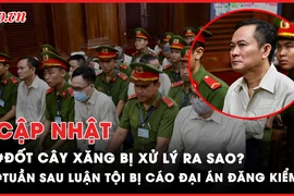 Điểm nóng tố tụng: Tuần sau, luận tội các bị cáo đại án đăng kiểm; Xử lý người đốt cây xăng ra sao?