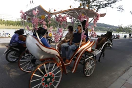 Đà Lạt gia hạn hoạt động xe ngựa chở khách quanh hồ Xuân Hương đến cuối tháng 3