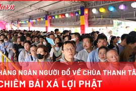 Video: Hàng ngàn người xếp hàng chiêm bái xá lợi Đức Phật tại TP.HCM
