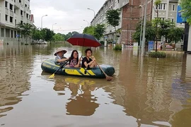 Không tin nổi: Muốn vào ‘làng’ biệt thự phải... chèo thuyền