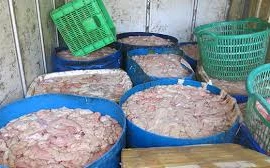Nguy hại từ nội tạng động vật
