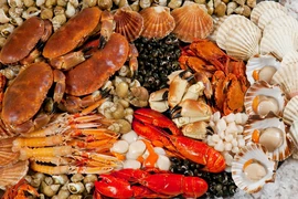 Những thực phẩm, đồ dùng chứa chì dễ gây ngộ độc