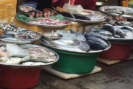 Vớt cá chết để bán, dễ mang họa